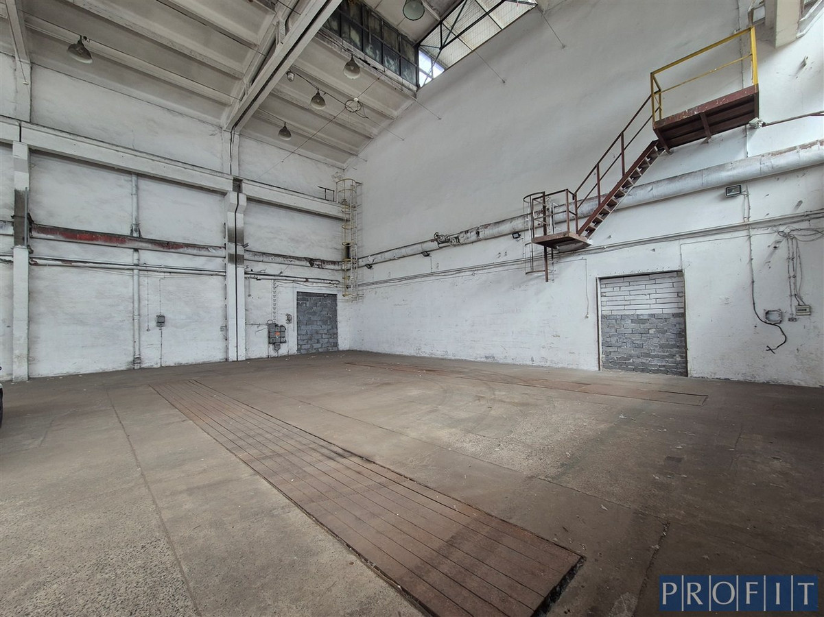 MAGAZYN 350 m² | POZIOM 0 | 3 BRAMY - Widok 3