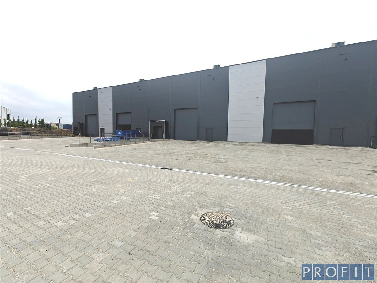MODUŁ magazynowy 499 m² dok/poziom 0 - Widok 5