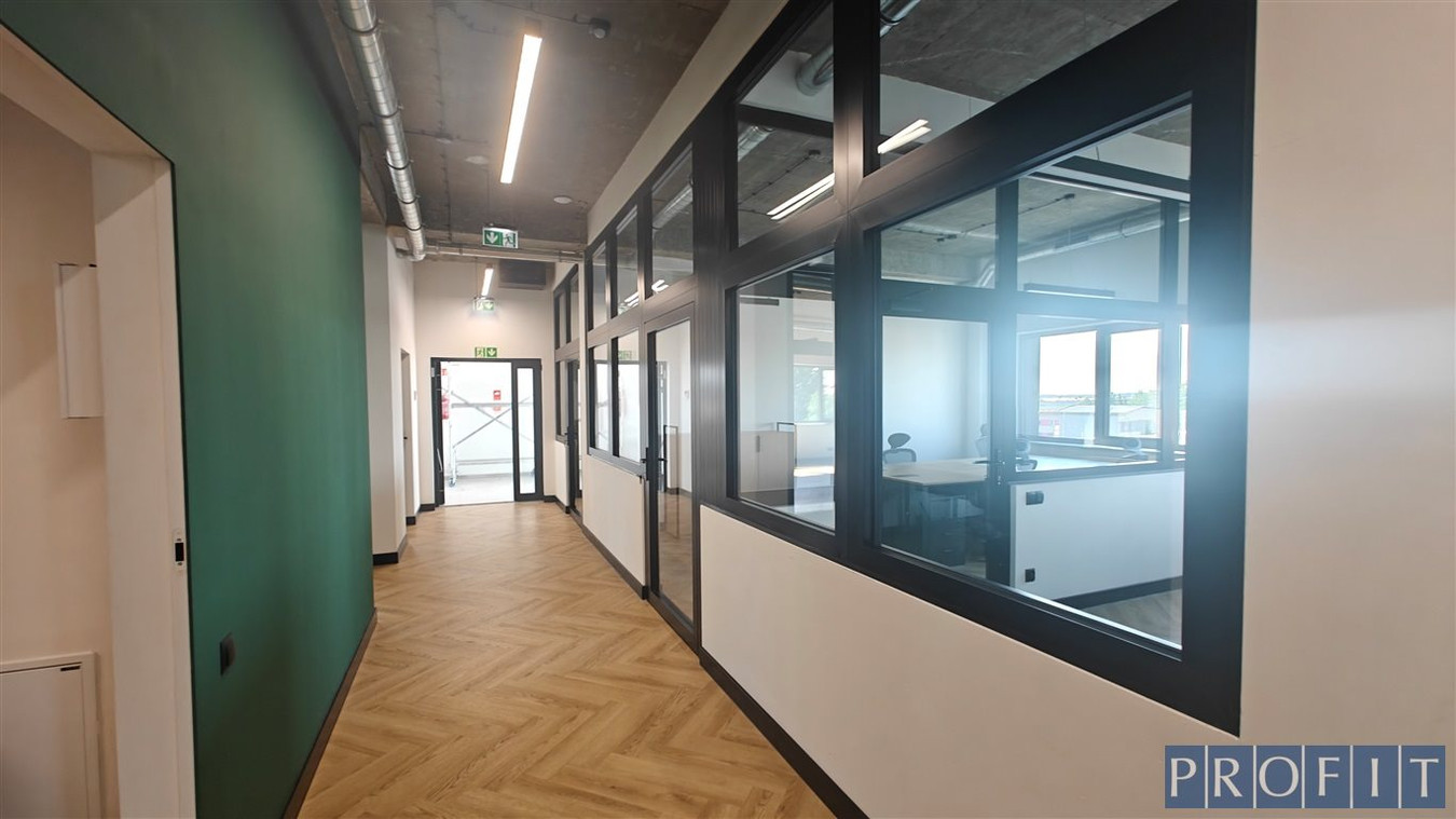 | 350 m² | NOWOCZESNE BIURO PREMIUM | TYCHY | PARK - Widok 2