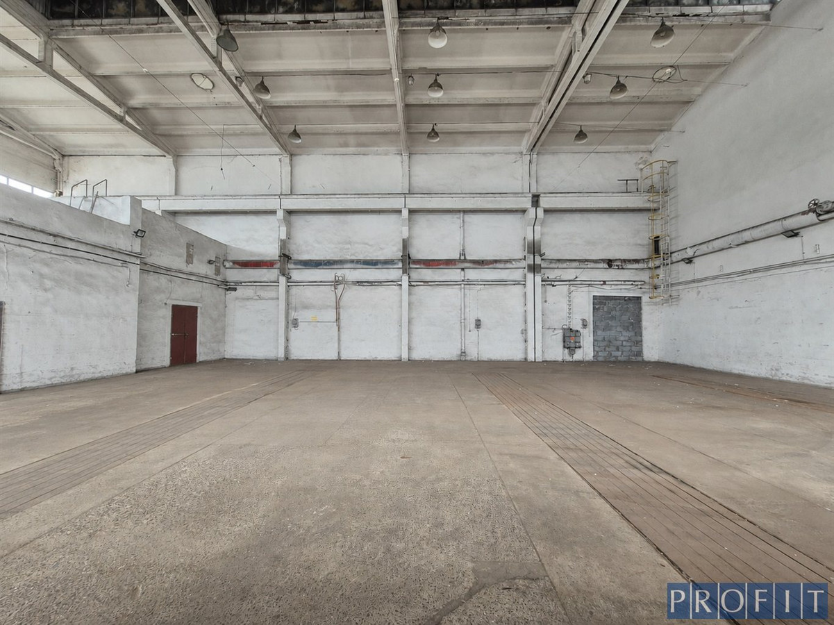 MAGAZYN 350 m² | POZIOM 0 | 3 BRAMY - Widok 2