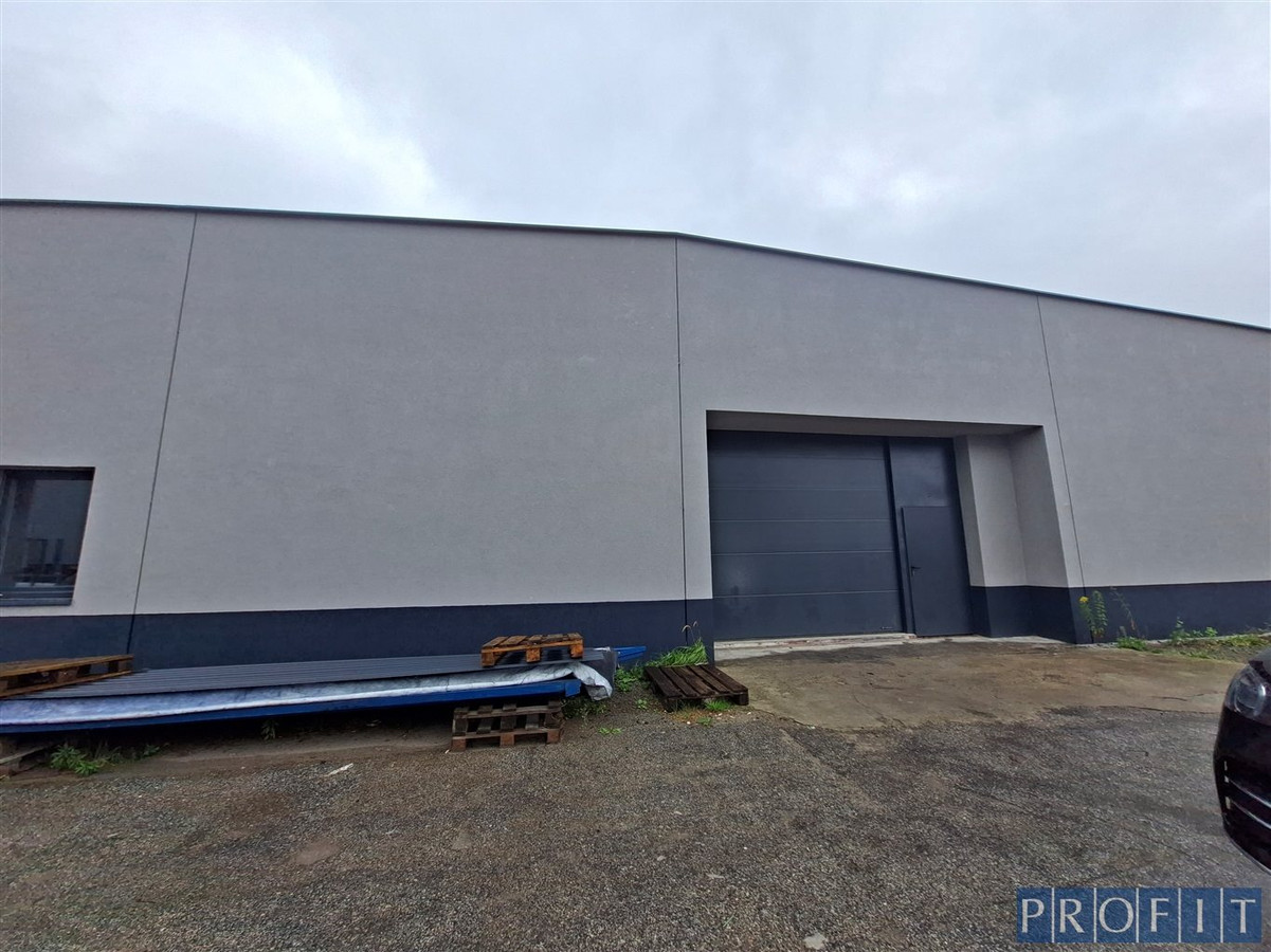 Hala 600 m² poziom /rampa 0 ,h-4,8m do 6m - Widok 2
