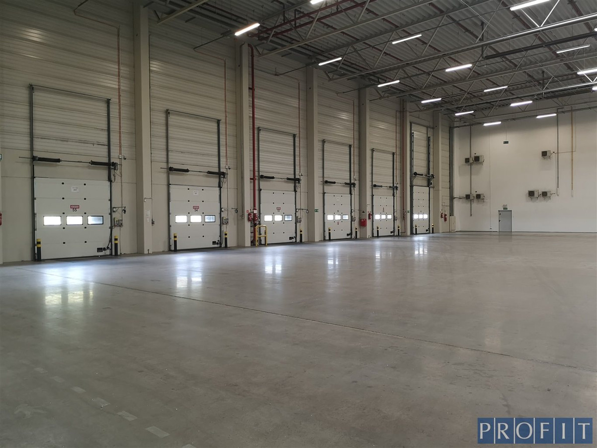 Magazyn 2337m²,4 x dok ,3Xpoziom 0 - Widok 2