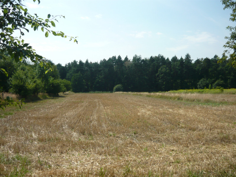 Dom – Bytom, Górniki - Widok 4