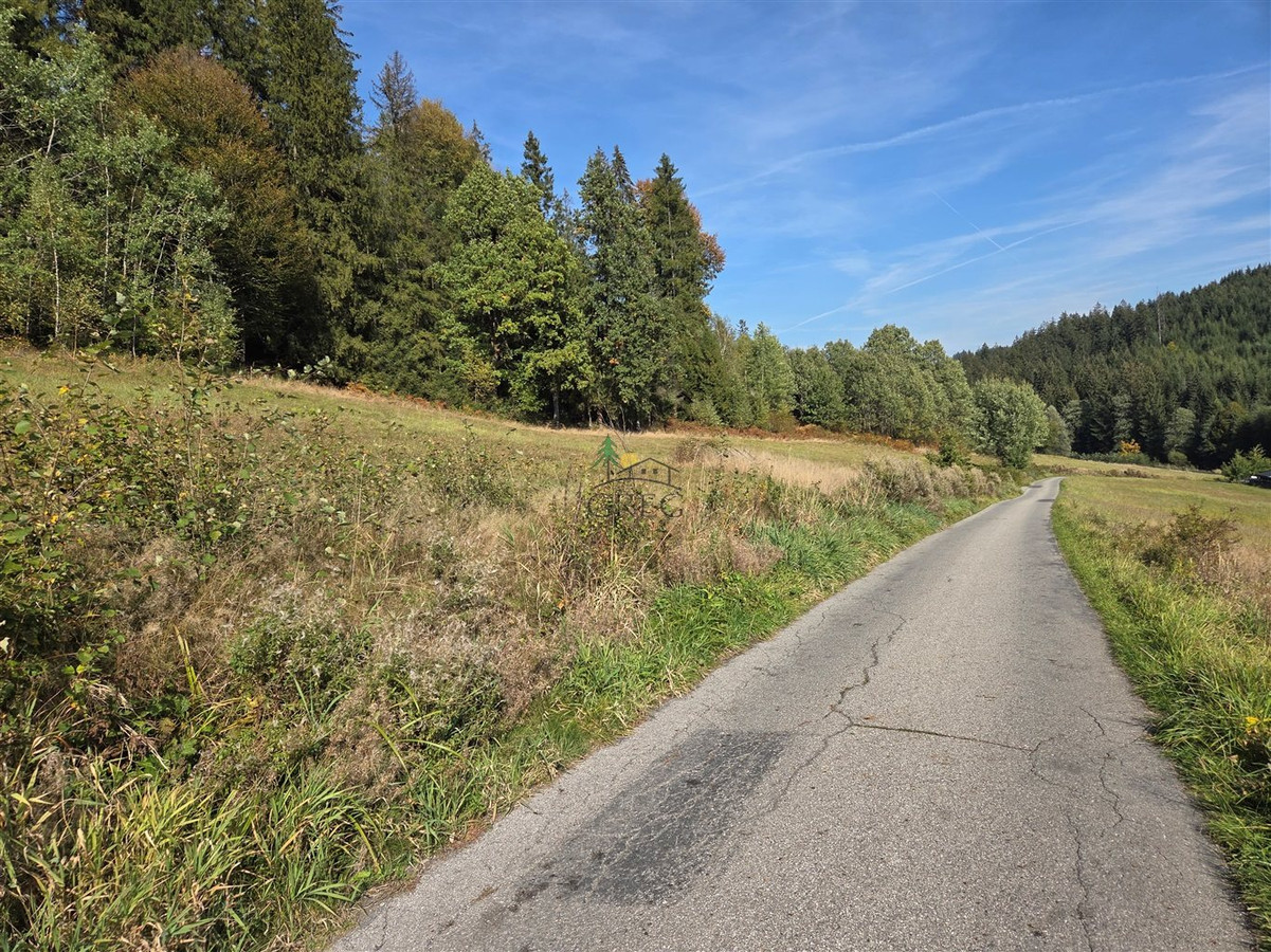 Działka pod lasem z przepięknym widokiem - Widok 5