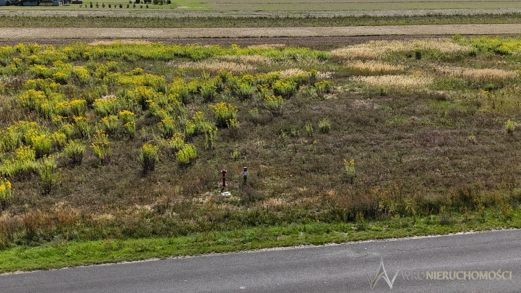 2100 m² * Działka budowlana z WZ - Więcej