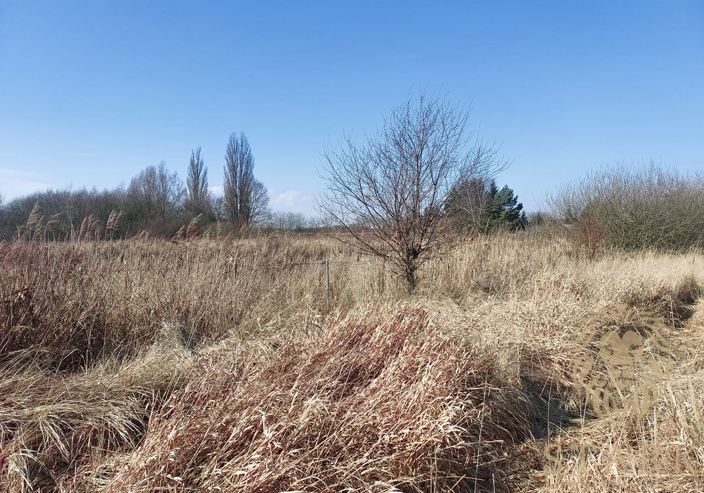 Działka budowlana 900 m² z WZ Mierzyn - Widok 3