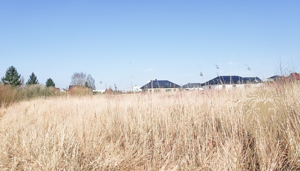Działka budowlana 900 m² z WZ Mierzyn - Widok 4