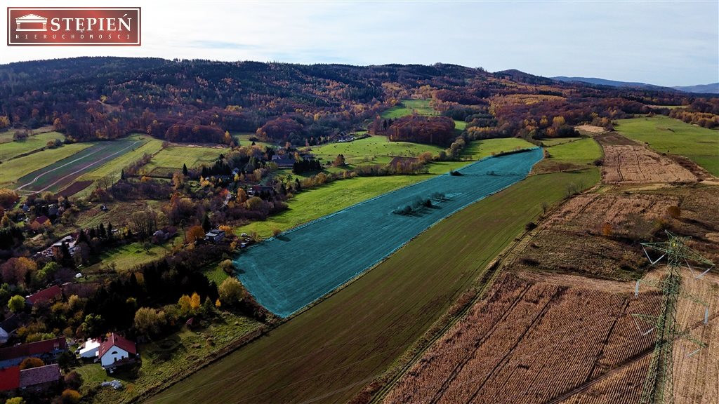 Działka rolna - Lipa, gm. Bolków - Widok 2