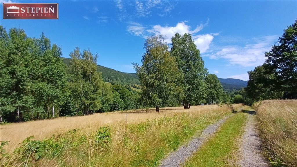 Urokliwa działka budowlana - Widok 4