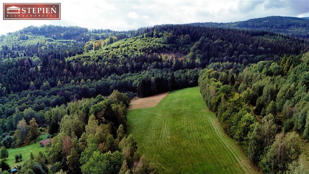 gratka-GS-29344 - Widok 3