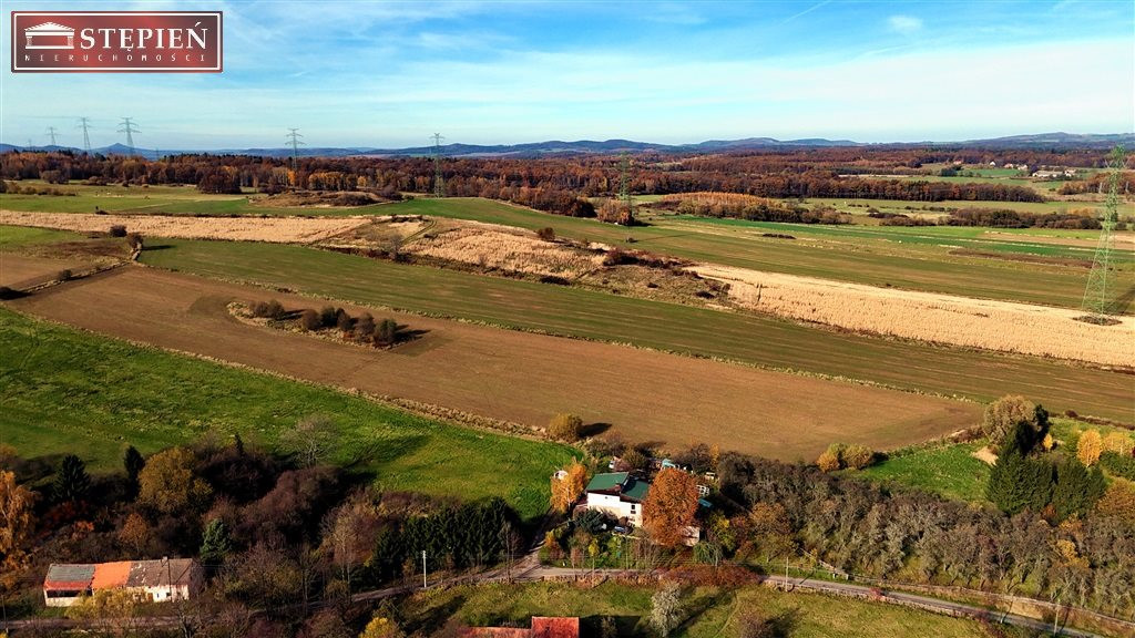 Działka rolna - Lipa, gm. Bolków - Widok 4