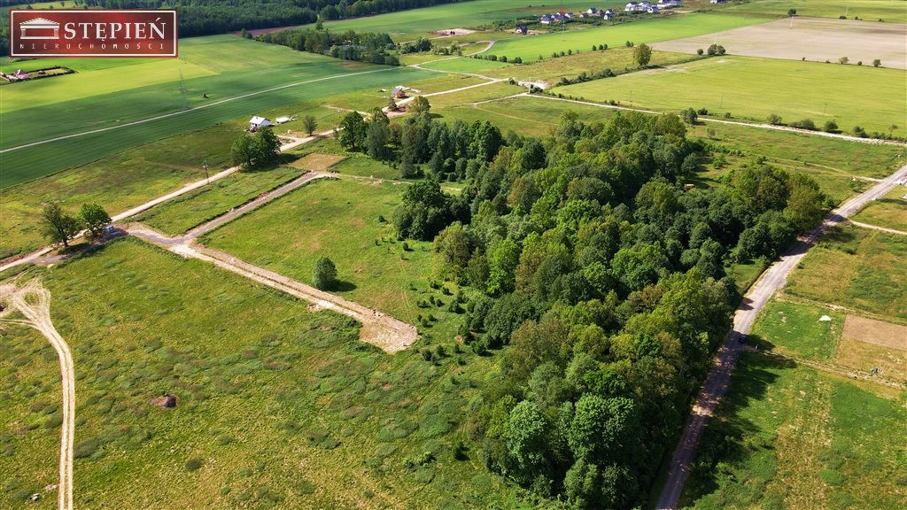 Osiedle Karkonoska Przystań w Wojcieszycach - Widok 2