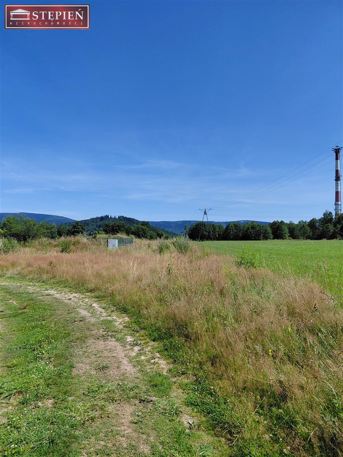 Działka widokowa w Kostrzycy - Widok 5