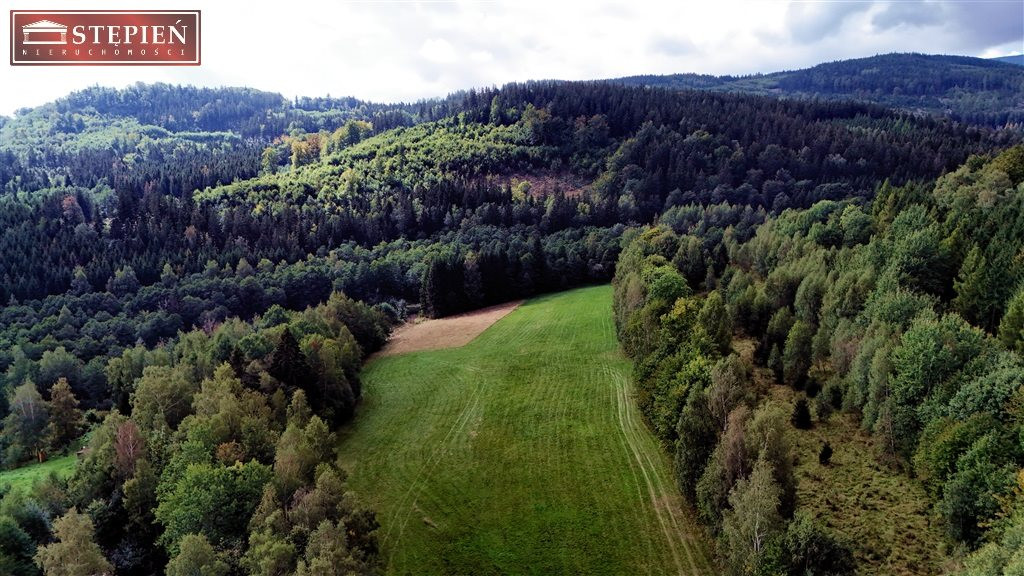gratka-GS-29344 - Widok 4