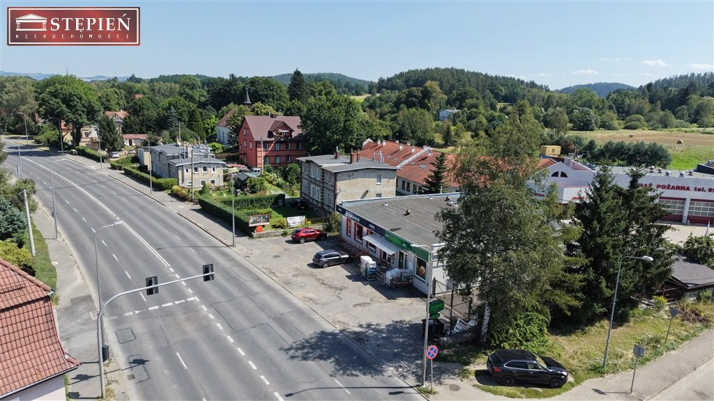 Działający biznes lub Hala na sprzedaż - Widok 4