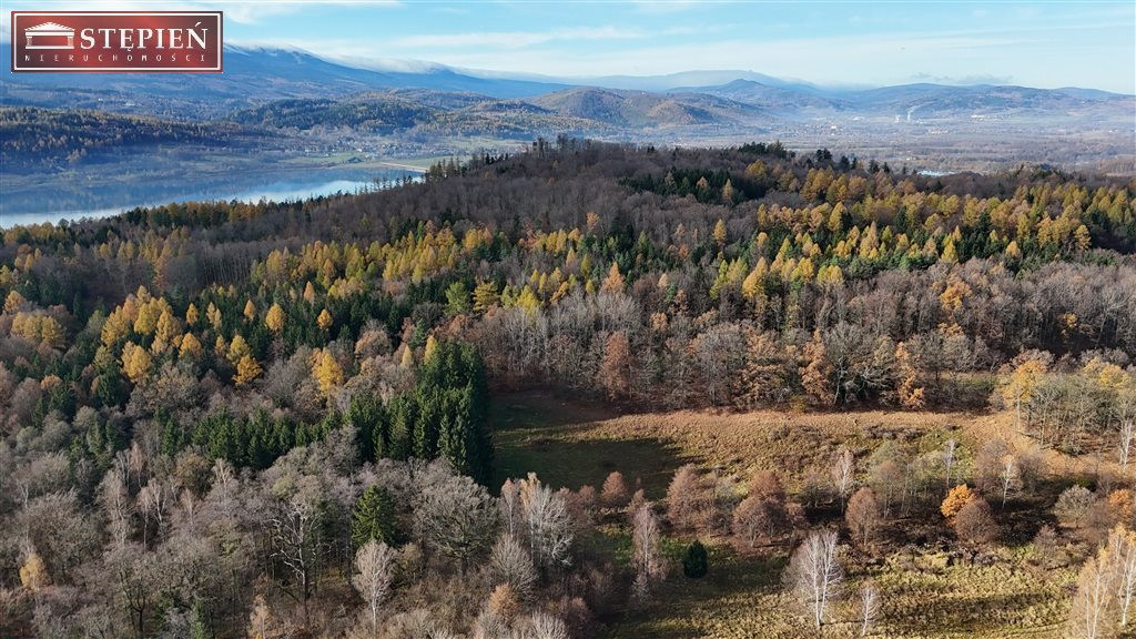 Terreny, 11100 m²