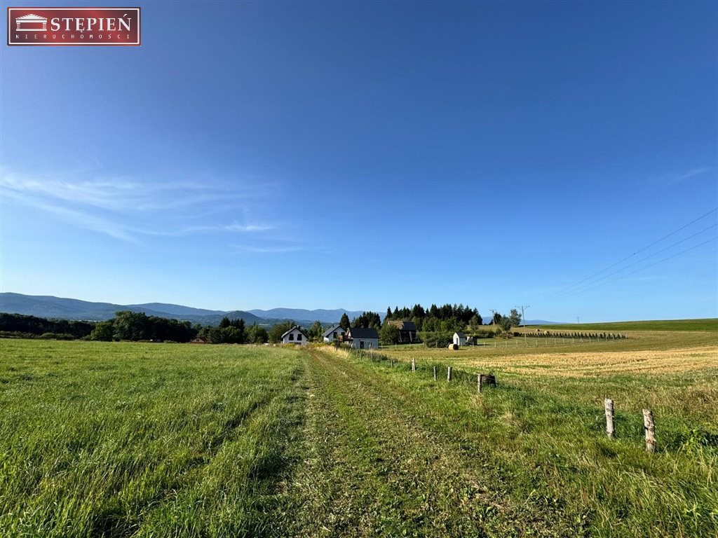 Działka MN 1078 m² – niepowtarzalny widok na góry - Widok 5