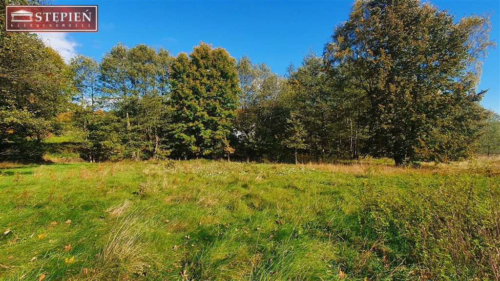 Antoniów - przepiękny teren - Więcej