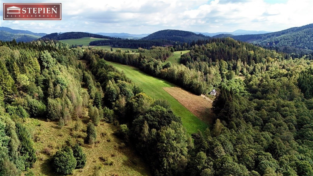 gratka-GS-29343 - Widok 2