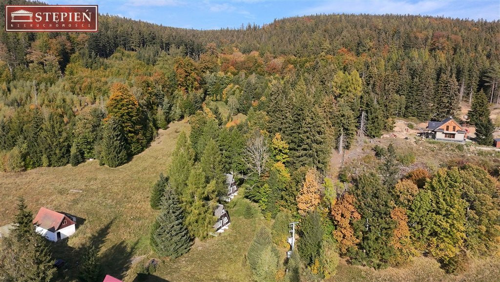 gratka-GS-29423 - Widok 4