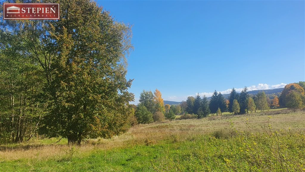 Antoniów - przepiękny teren - Widok 4