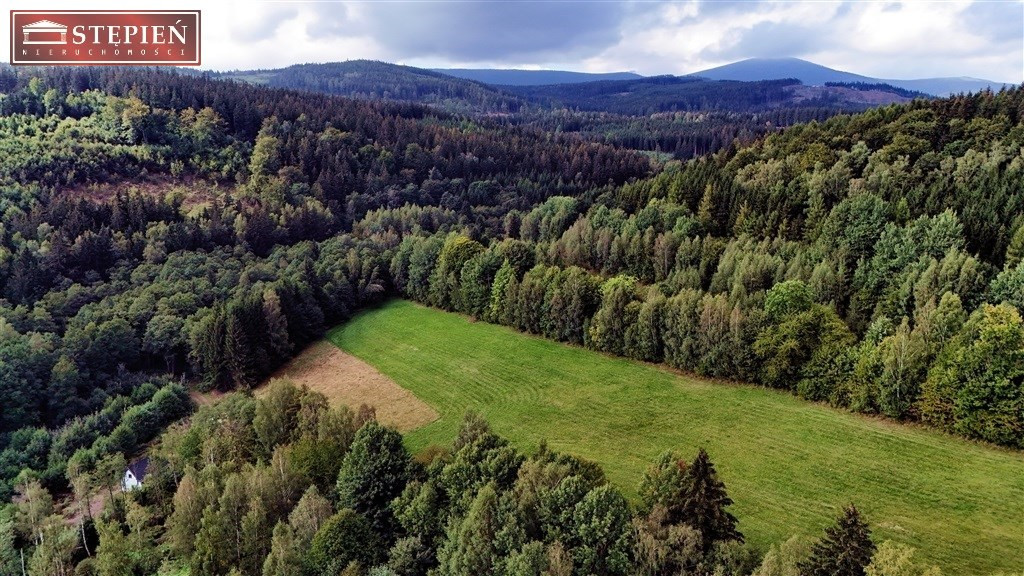gratka-GS-29343 - Widok 3