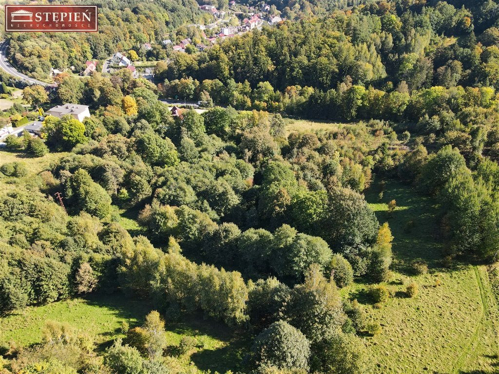 Działka z potencjałem - View 3