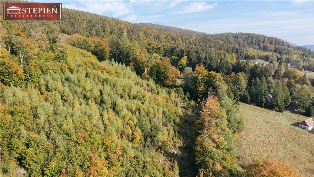 gratka-GS-29423 - Widok 3