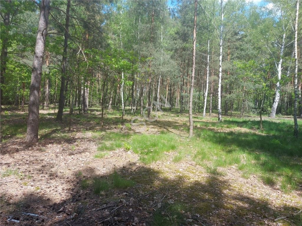 gratka-G-90971-12 - Widok 2