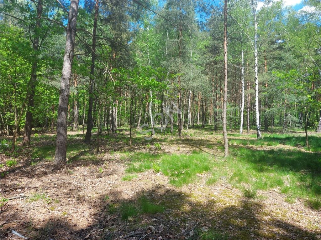 gratka-G-90971-12 - Widok 5