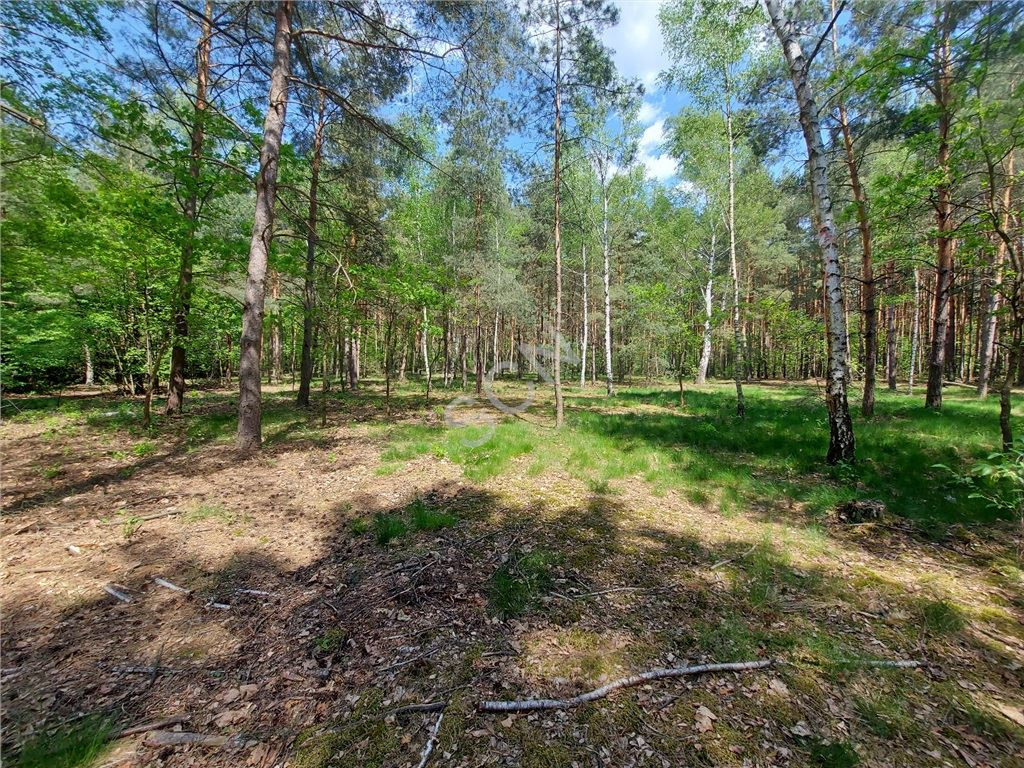 gratka-G-90971-12 - Widok 4