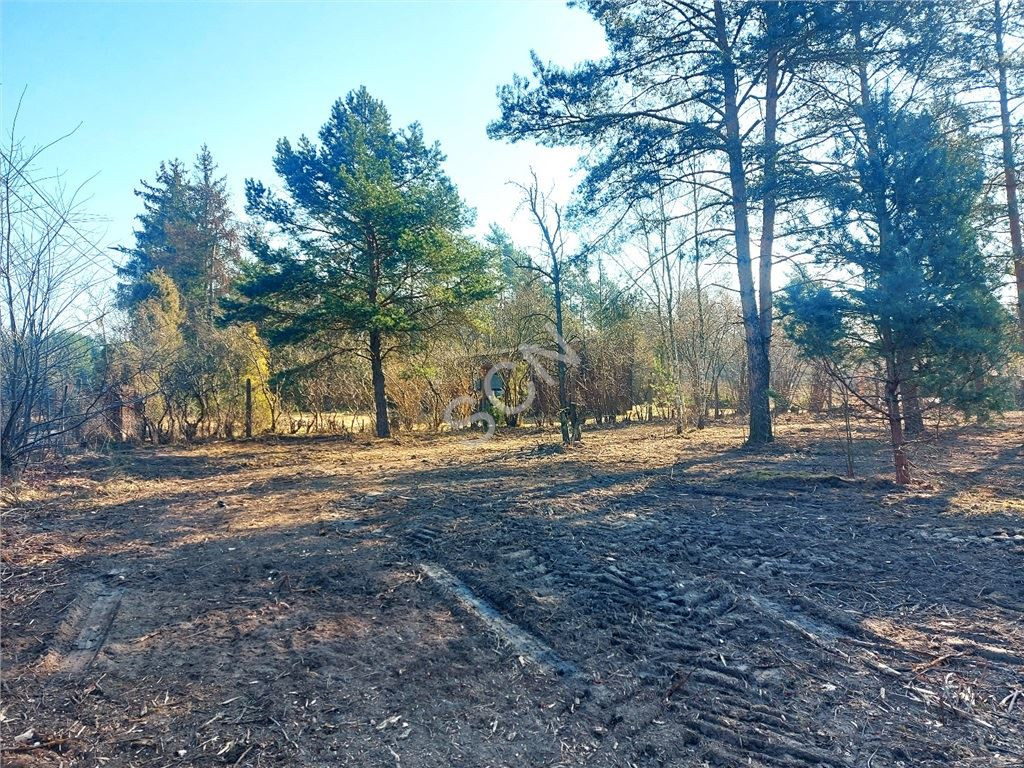 gratka-G-89953-12 - Widok 5