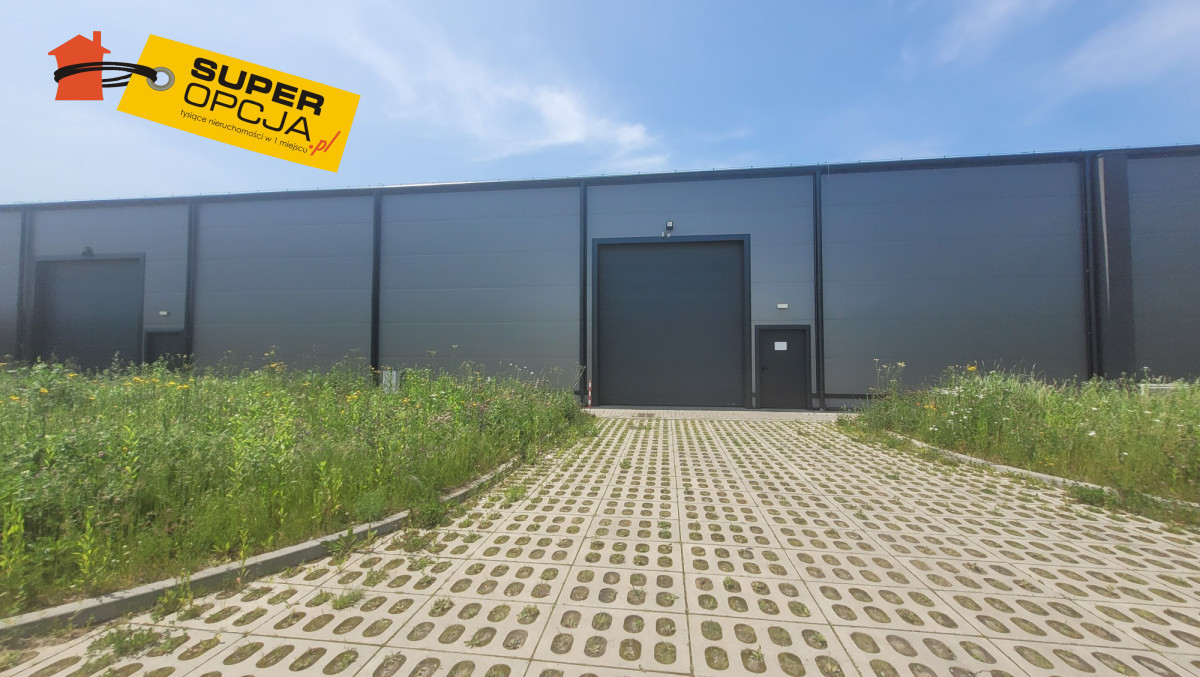 Hala, magazyn, produkcja - Niepołomice - Widok 5