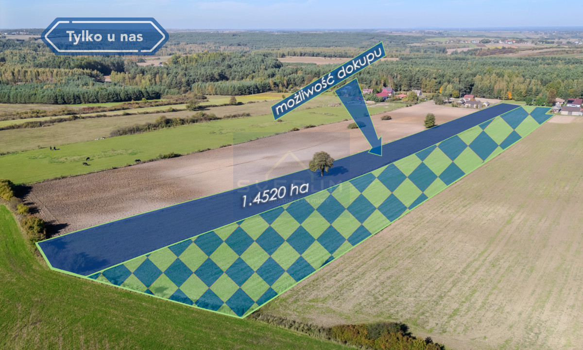 Duża działka budowlana Pabianice gm. Janów - Widok 5