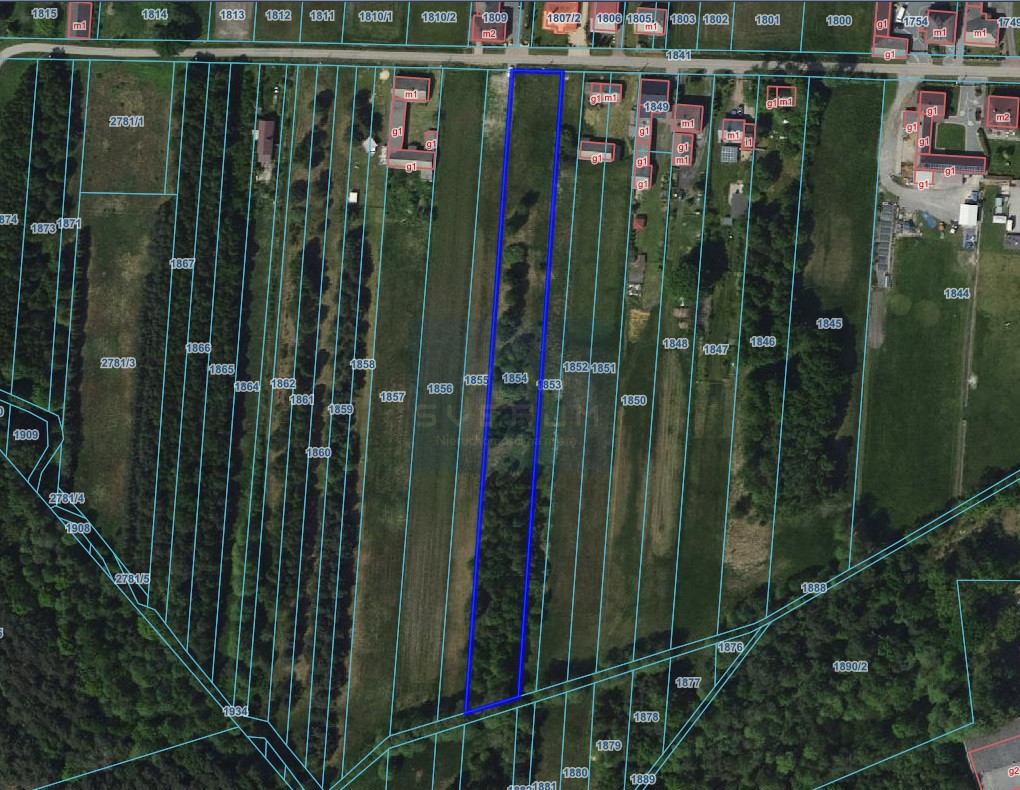 Duża działka Budowlano-rolna Cynków Gm.Koziegłowy - Widok 5