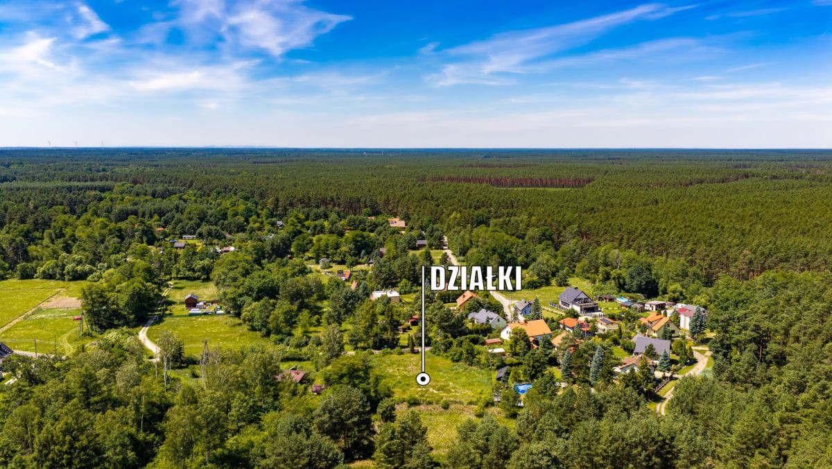 Urokliwe działki w sercu lasu - Widok 2
