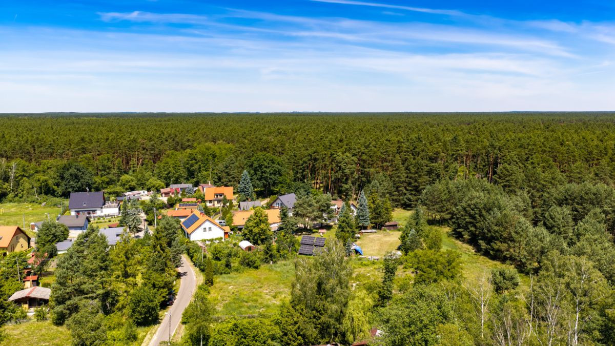 Urokliwe działki w sercu lasu - Widok 5