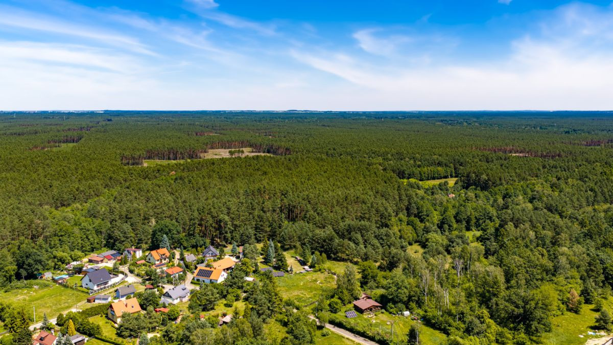 Urokliwe działki w sercu lasu - Widok 4