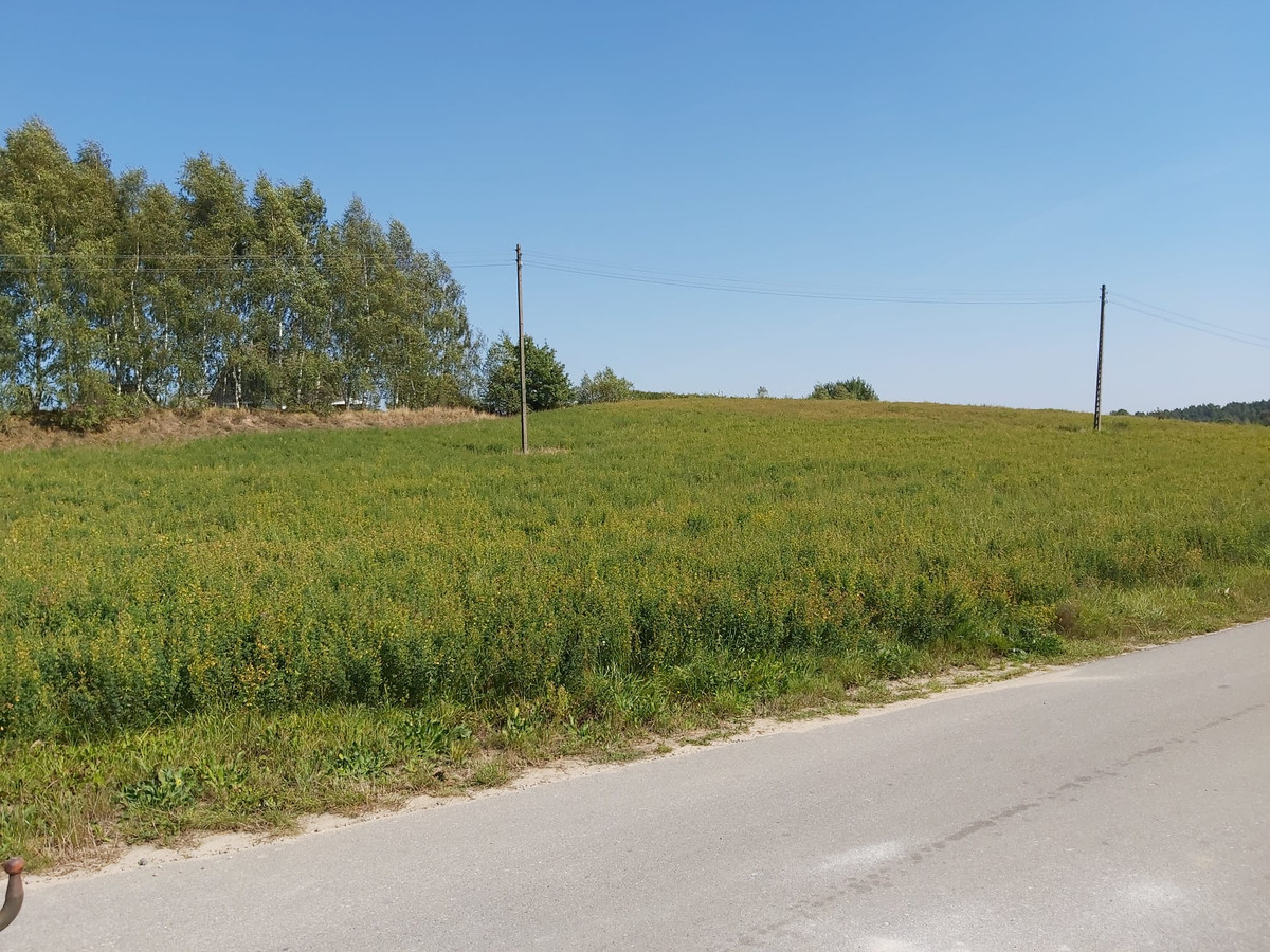 Działka z WARUNKAMI ZABUDOWY - 40 minut od Gdańska - Widok 4
