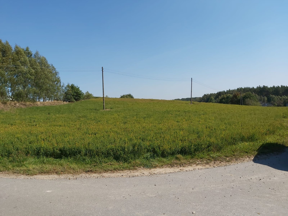 Działka z WARUNKAMI ZABUDOWY - 40 minut od Gdańska - Widok 3