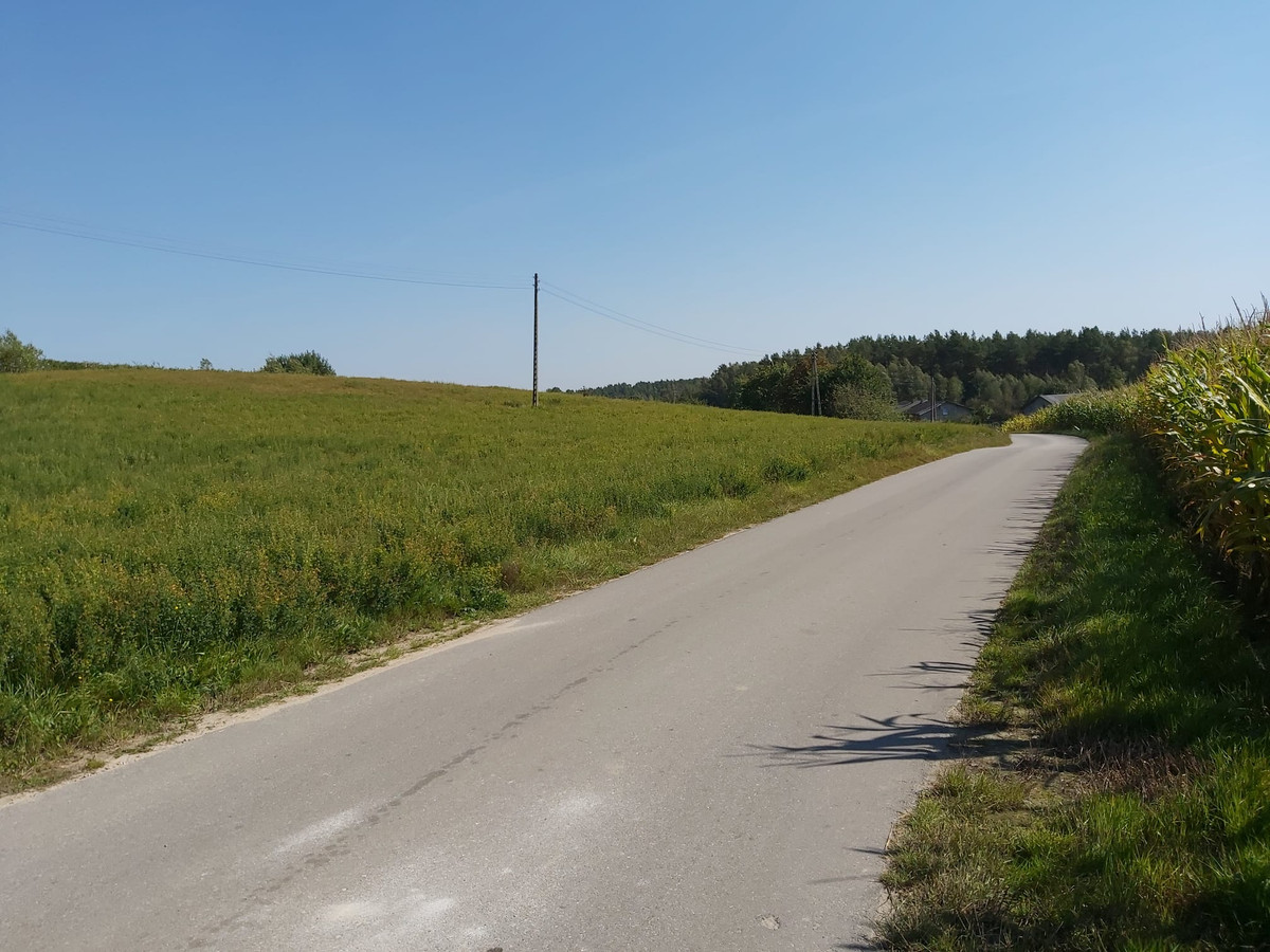 Działka z WARUNKAMI ZABUDOWY - 40 minut od Gdańska - Widok 5