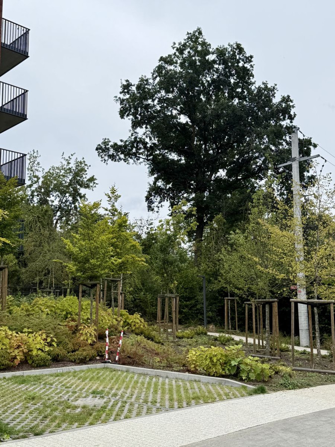 Mieszkanie – Gdańsk, Jasień - Widok 2