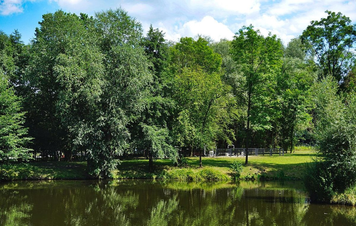 Mieszkanie – Kraków, Krowodrza - Więcej