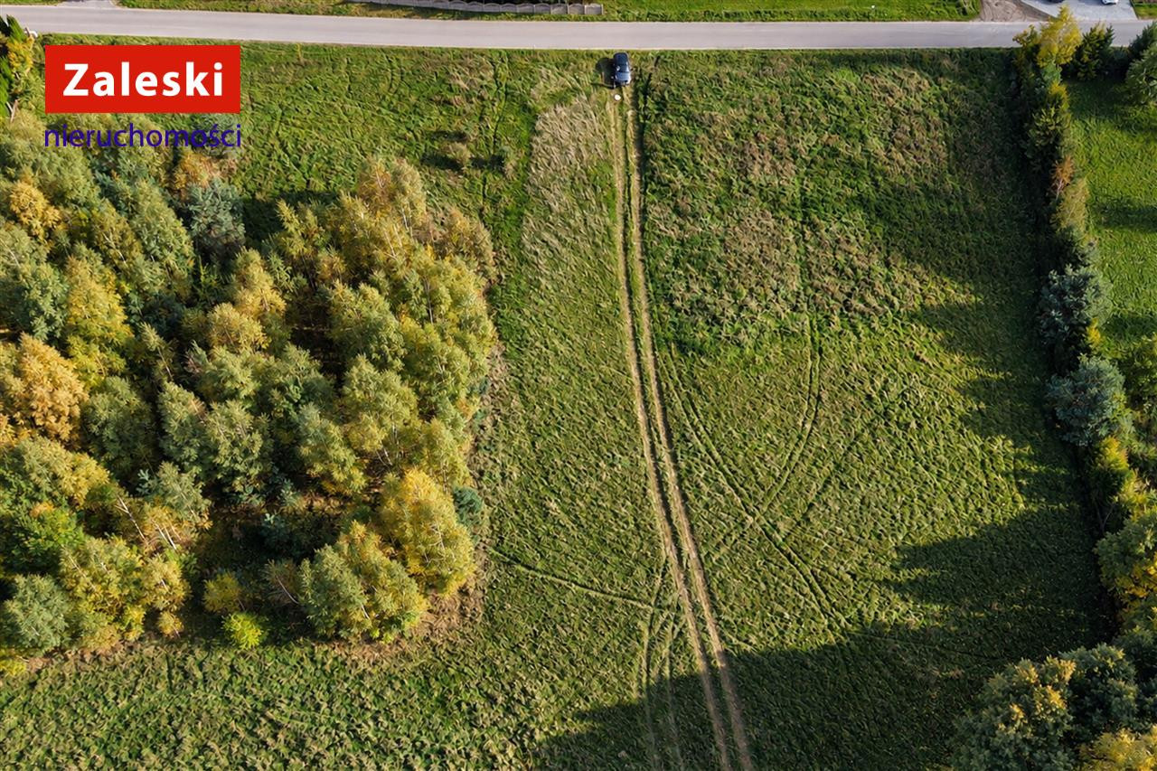 Działka siedliskowa w wydanymi warunkami zabudowy - Widok 4