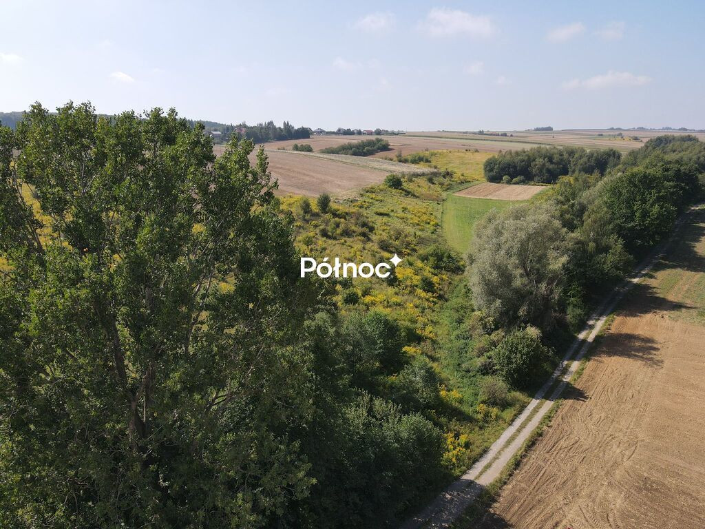 Działka koło Skały, trasa Kraków - Widok 2