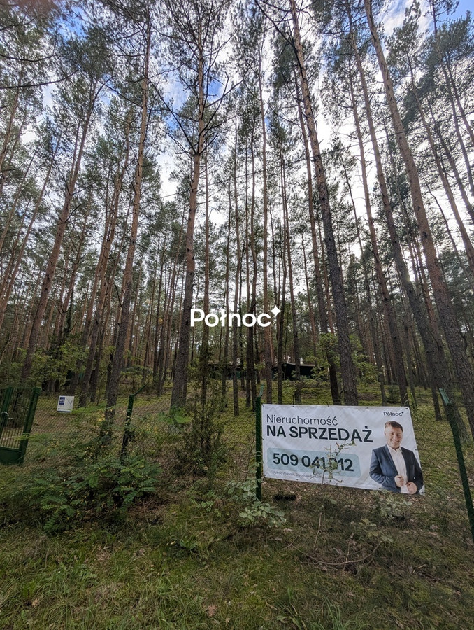 Leśna działka z naturalnymi pagórkami | Łosie gm. Radzymin - Widok 2