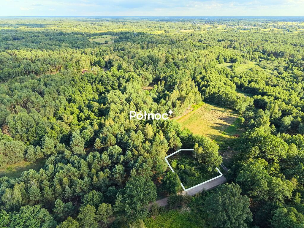 Działka w otoczeniu lasu. Jasienica gm. Tłuszcz - Widok 2