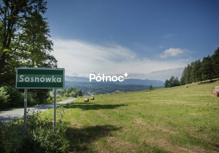 7 - Działek z WZ Czerwona Dolina Sosnówka - Widok 3