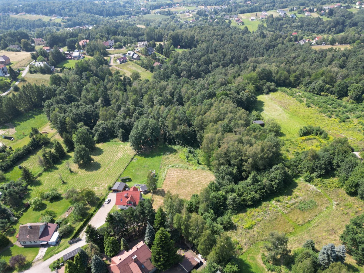 Duża działka budowlana otoczona lasem, 10km od KRK - Widok 3