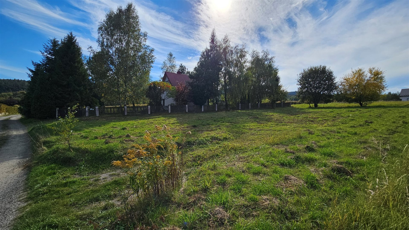 DZIAŁKA 10 ARÓW NA SPRZEDAŻ – RUDNIK - Widok 5